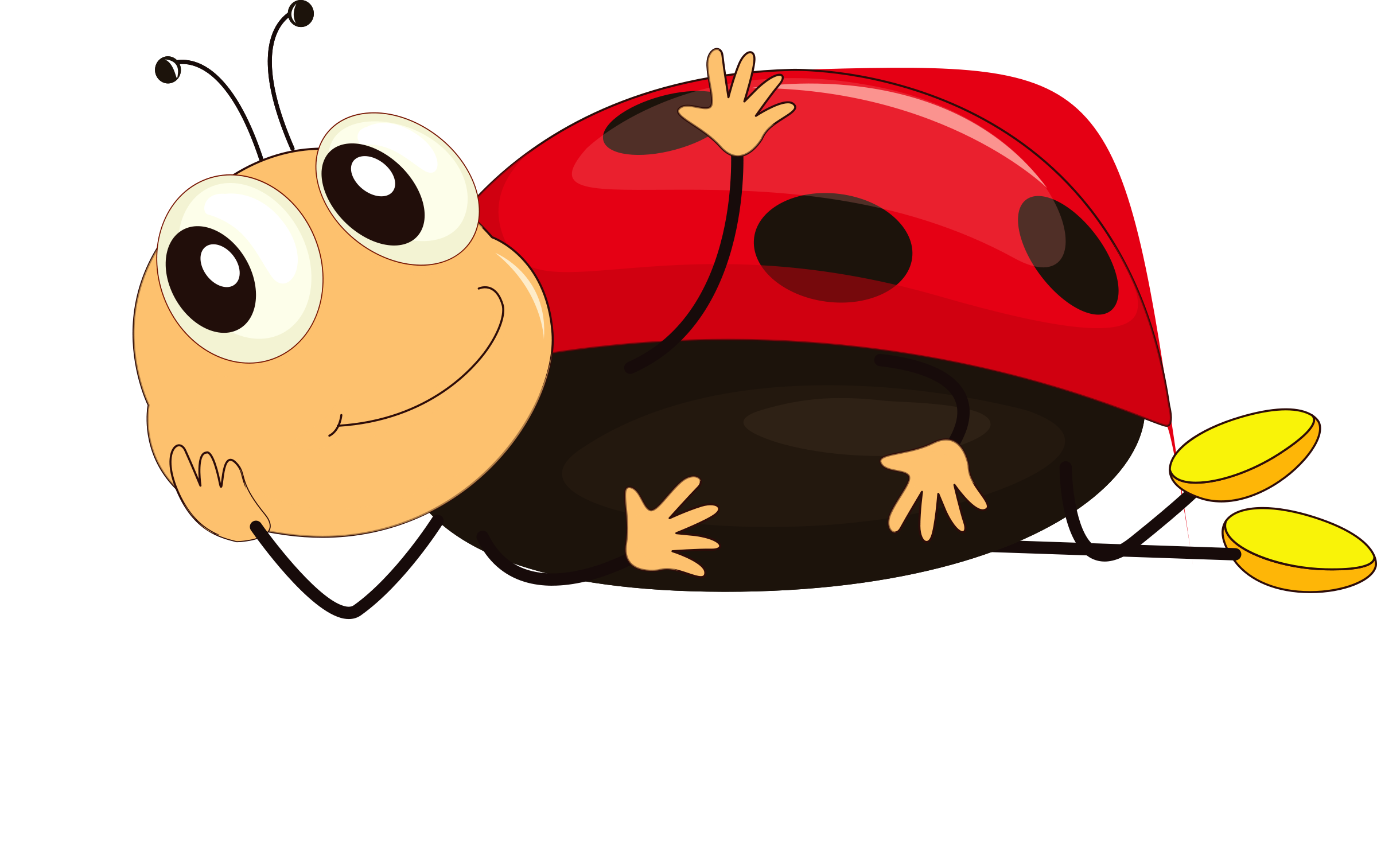 Ladybug Cute Insect Png Transparent Image (black, red, white, salmon)