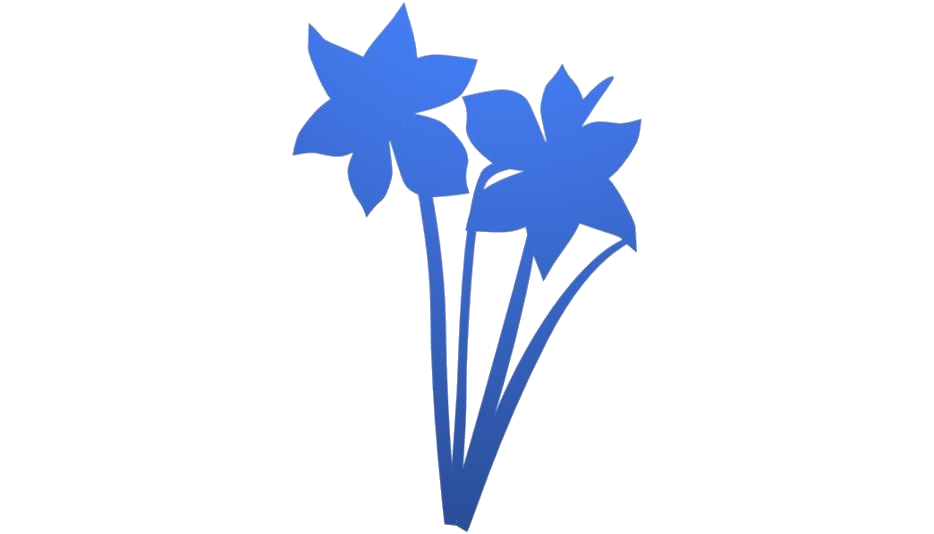 Daffodil Transparent Png (gray, white, teal)