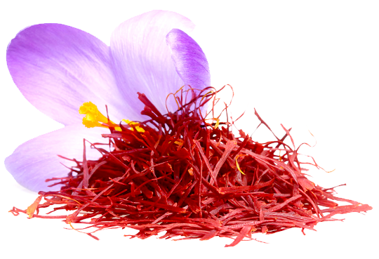 Saffron Png Image (white)