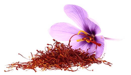 Saffron Png Isolated Image (gray)