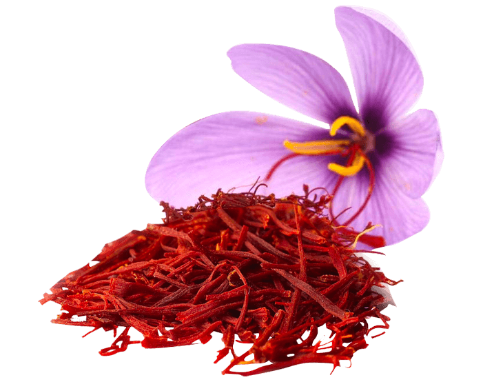 Saffron Png Photo (black, lavender, plum)