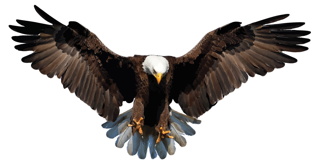 Eagles Png Free Download (black)