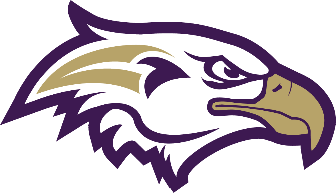 Eagles Png Isolated File (black, indigo, gray, white)