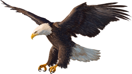 Eagles Png (black)