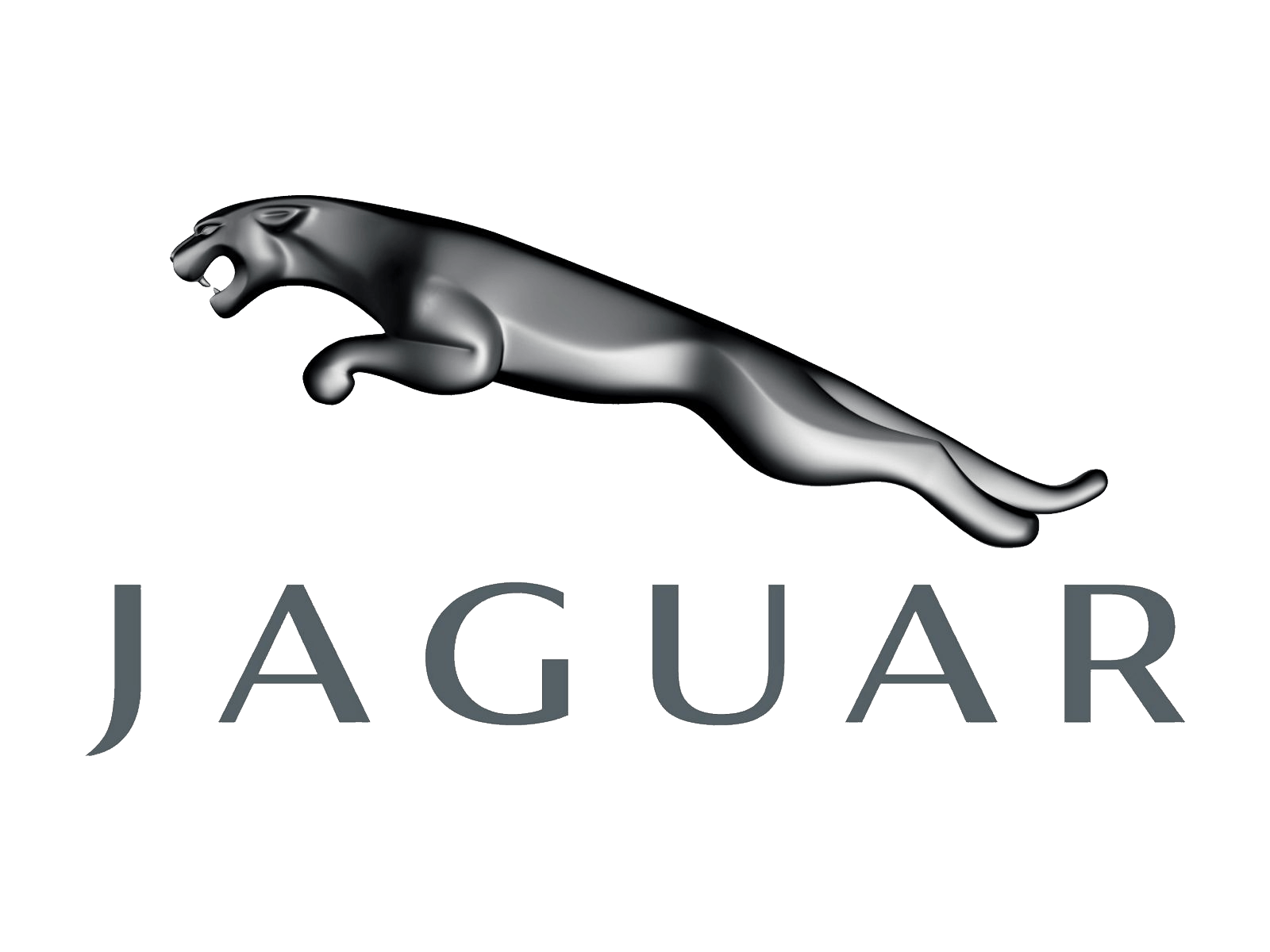 Jaguar Logo Transparent Png (gray)