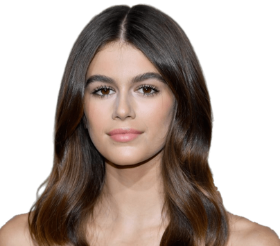 Kaia Gerber Png Picture (silver, black)