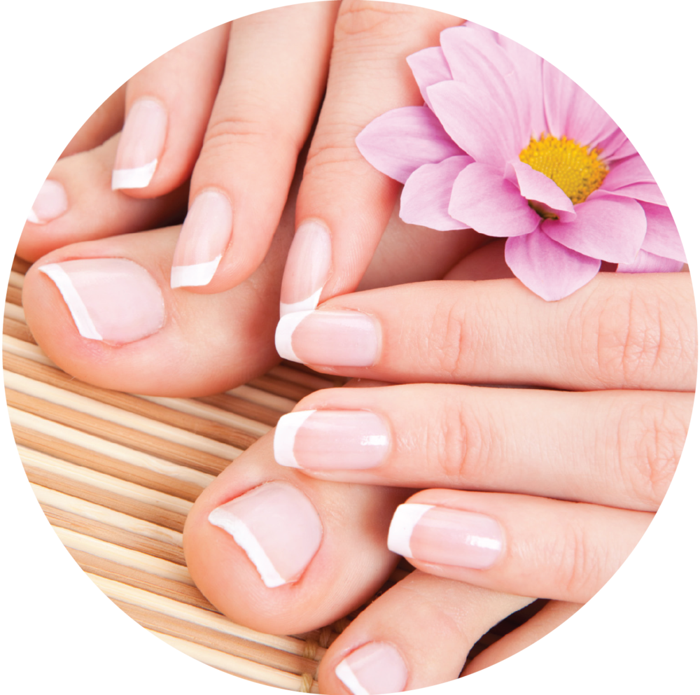 Nails Png Photo (lavender, pink, white)