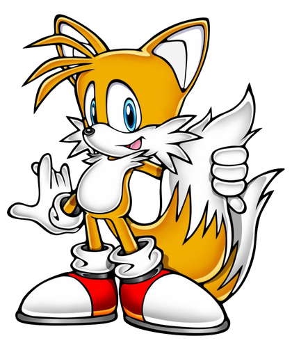 Tails Png Transparent Image (black, orange, white)