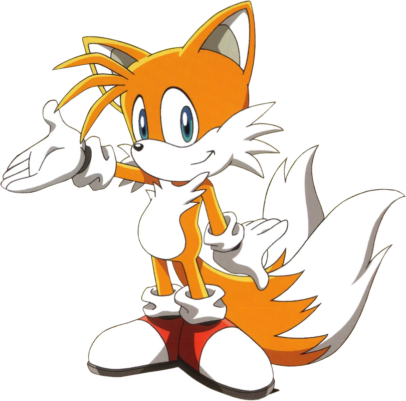 Tails Png Transparent Picture (black, orange, white)