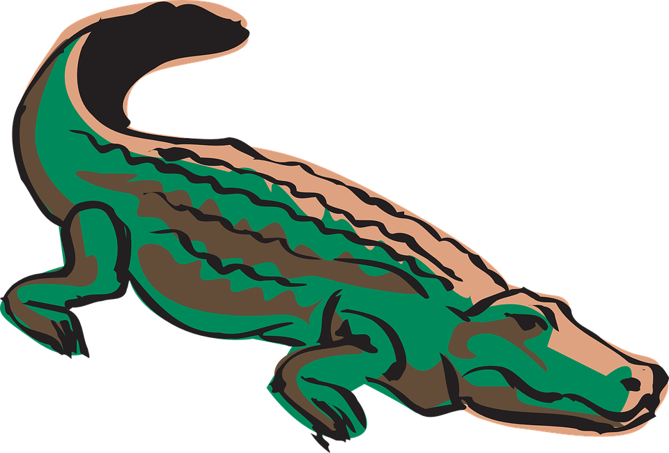 Caiman Download Png Image (olive, black, teal)