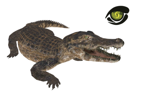 Caiman Png Photos (black, indigo)