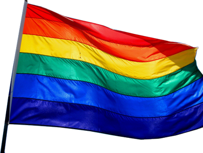 Rainbow Flag Png File (navy, white)