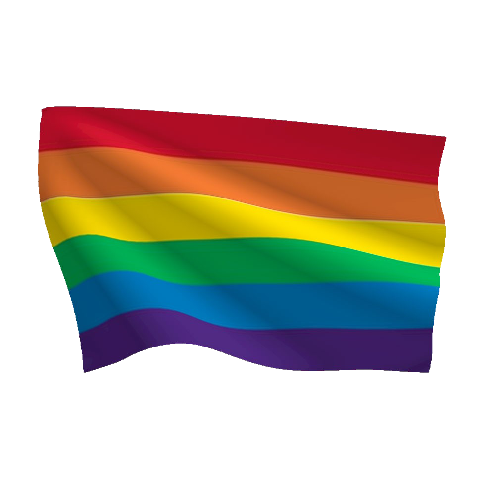 Rainbow Flag Png Picture (chocolate, teal, indigo, maroon, white)