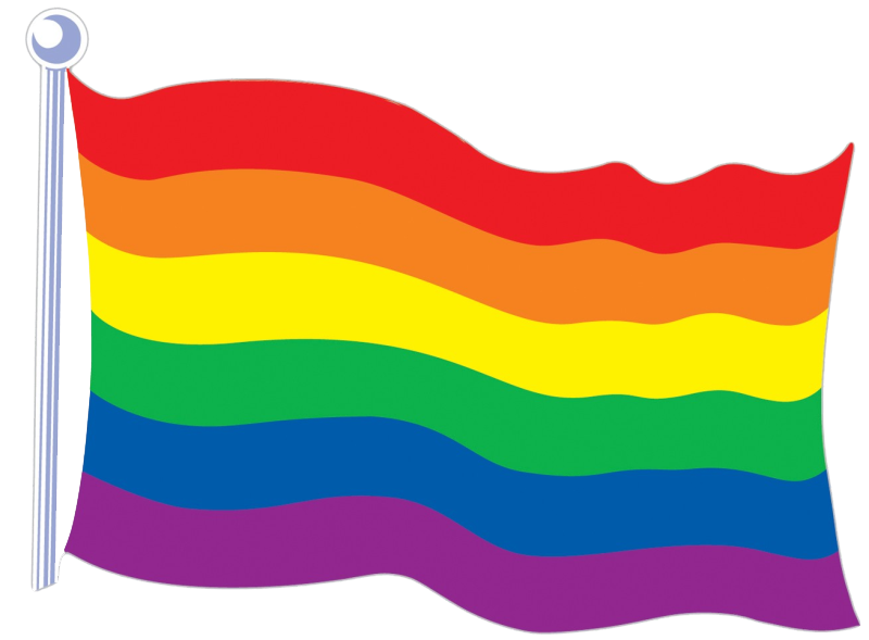 Rainbow Flag Transparent (chocolate, teal, white, yellow, red)