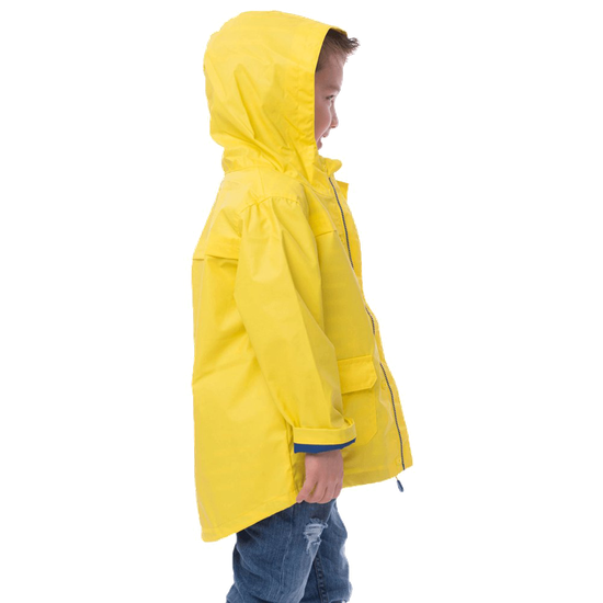 Raincoat Png Transparent Picture (gold, black)