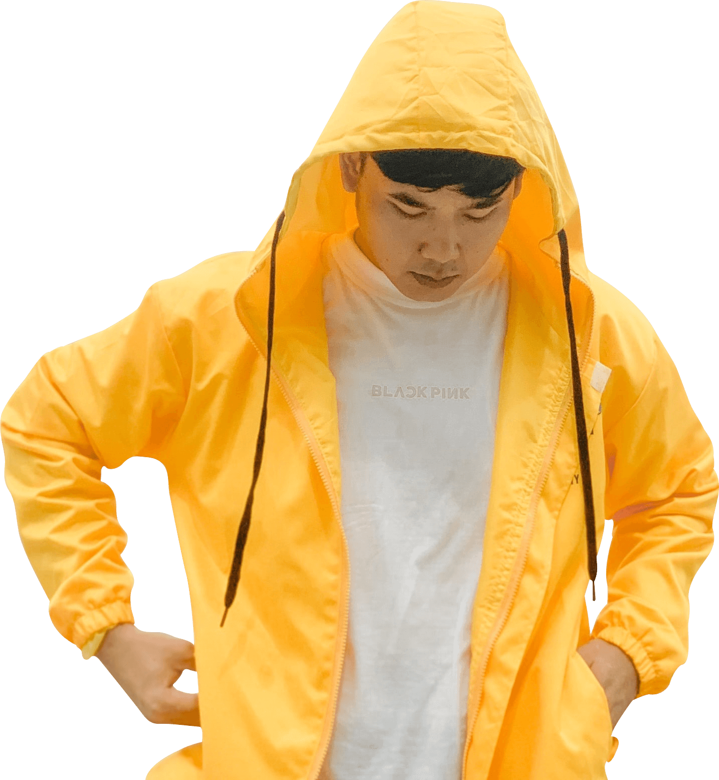 Raincoat Yellow (black, salmon, silver)