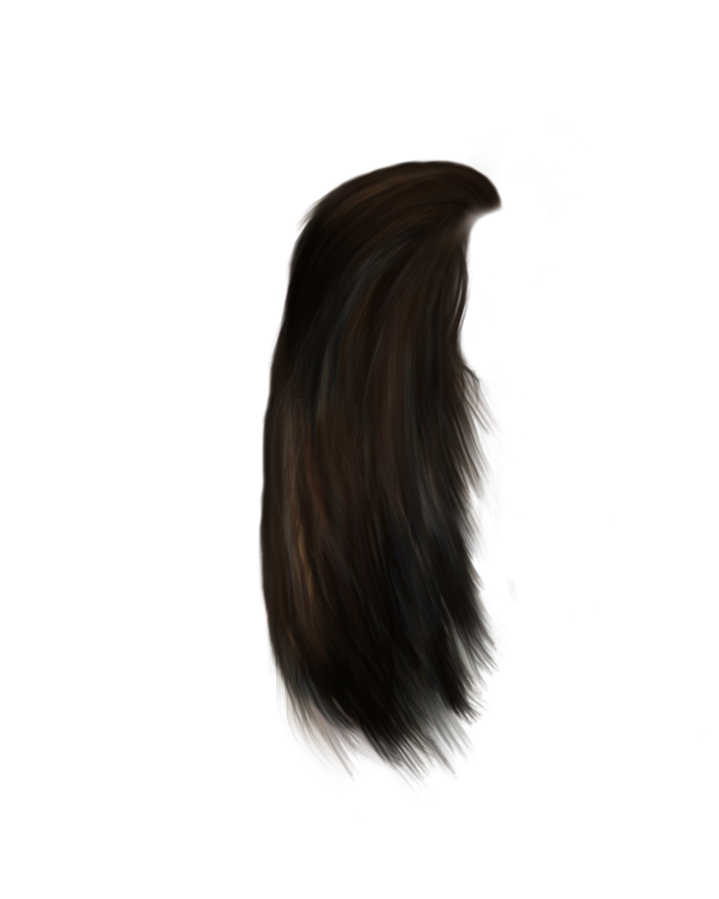 Hair Png 12 (black)