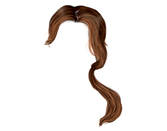 Hair Png 8 (olive, maroon, white, black, beige)