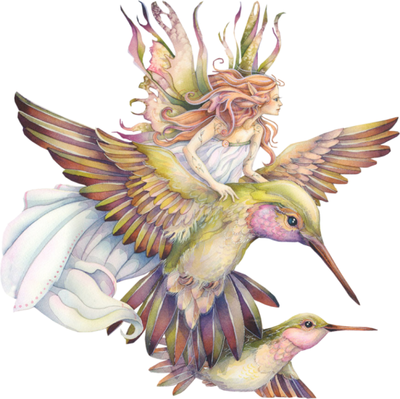 Fairy Bird No Background (black, white)