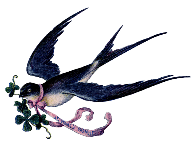 Fairy Bird Png Free Download (black)