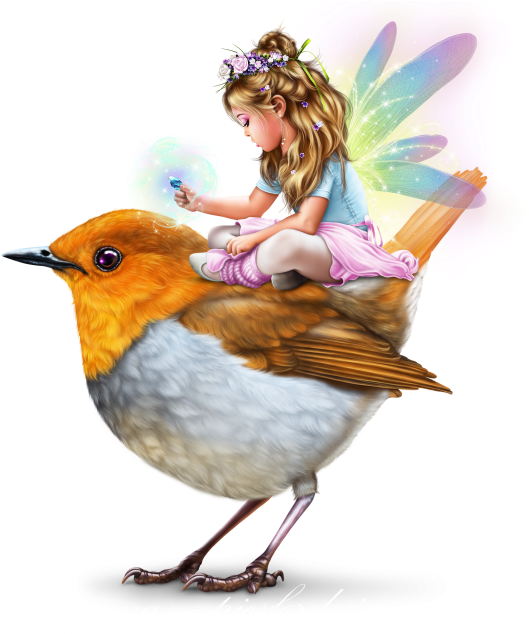 Fairy Bird Png Free Image (black, gray)