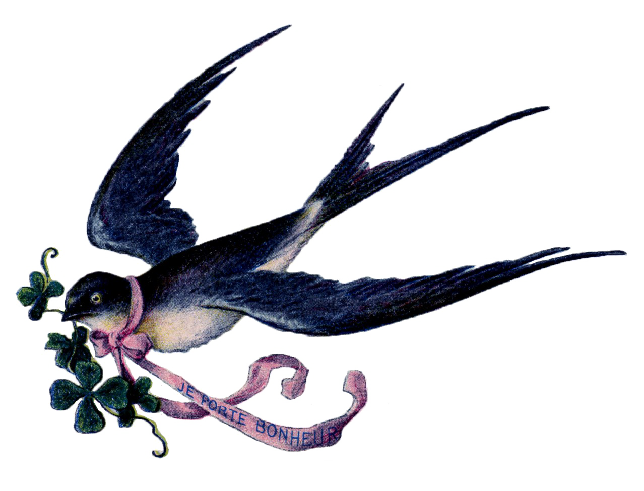 Fairy Bird Png Image (black, white)