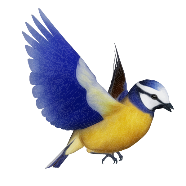 Fairy Bird Png Picture (black, navy)