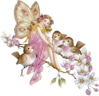 Fairy Transparent Png (black)