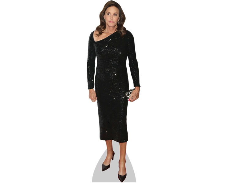 Caitlyn Jenner Png Hd Isolated (black, silver)