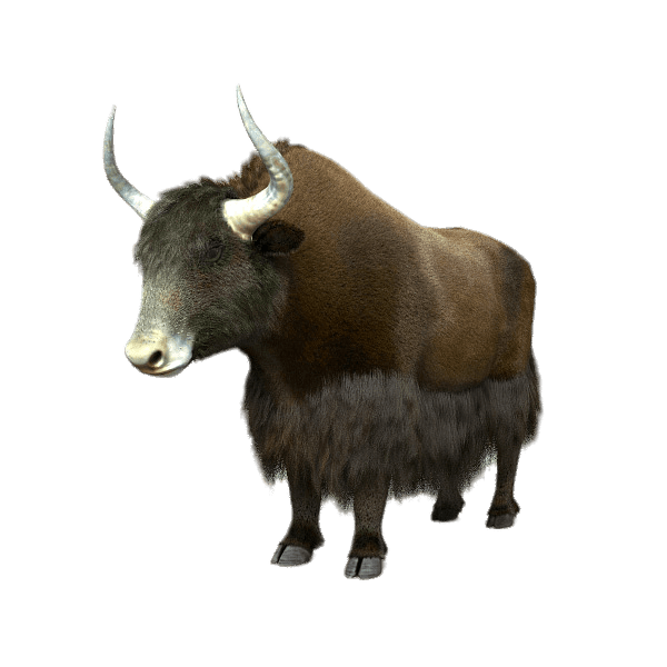 Yak Png Picture (gray)