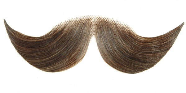 Fake Moustache Png Hd (white)