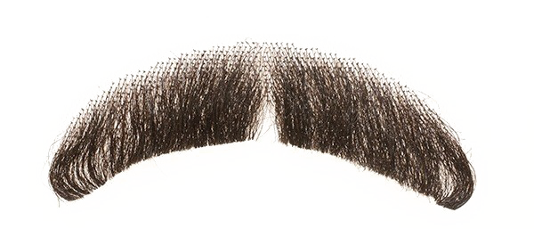 Fake Moustache Transparent Background (white)