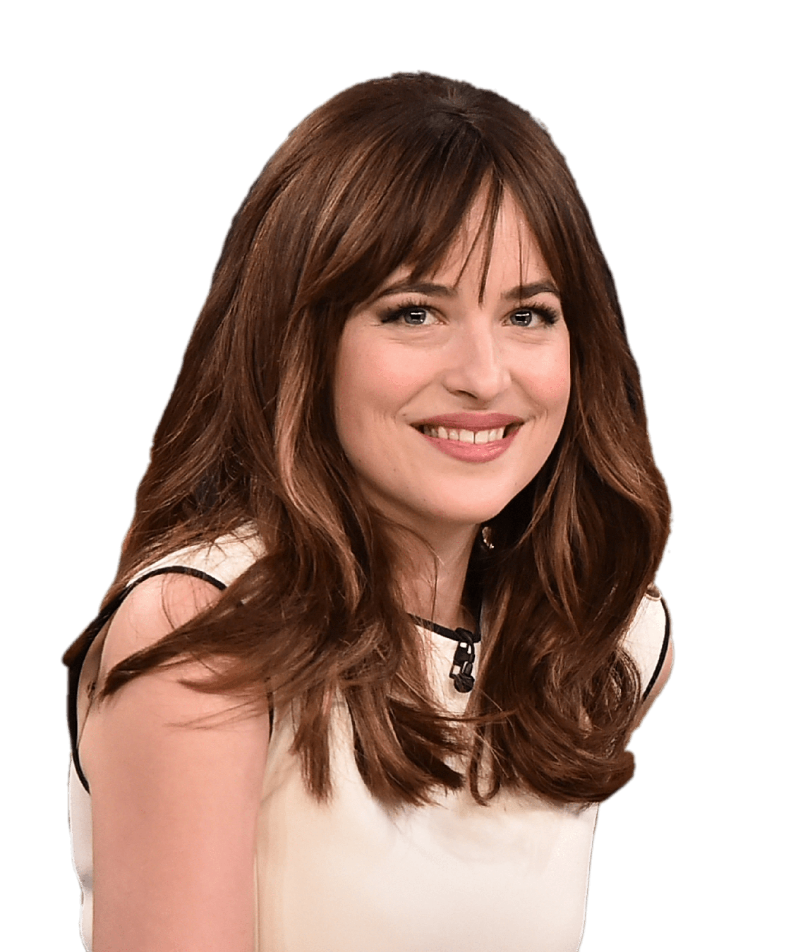 Dakota Johnson Png Clipart (gray, beige)