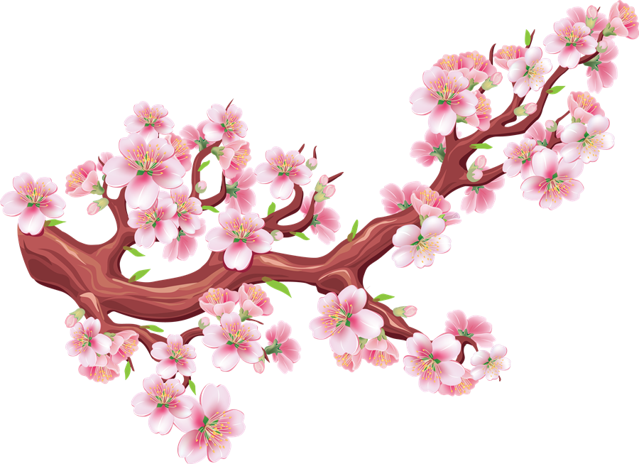 Sakura Cherry Blossom Png Cutout (chocolate, black, maroon, white)