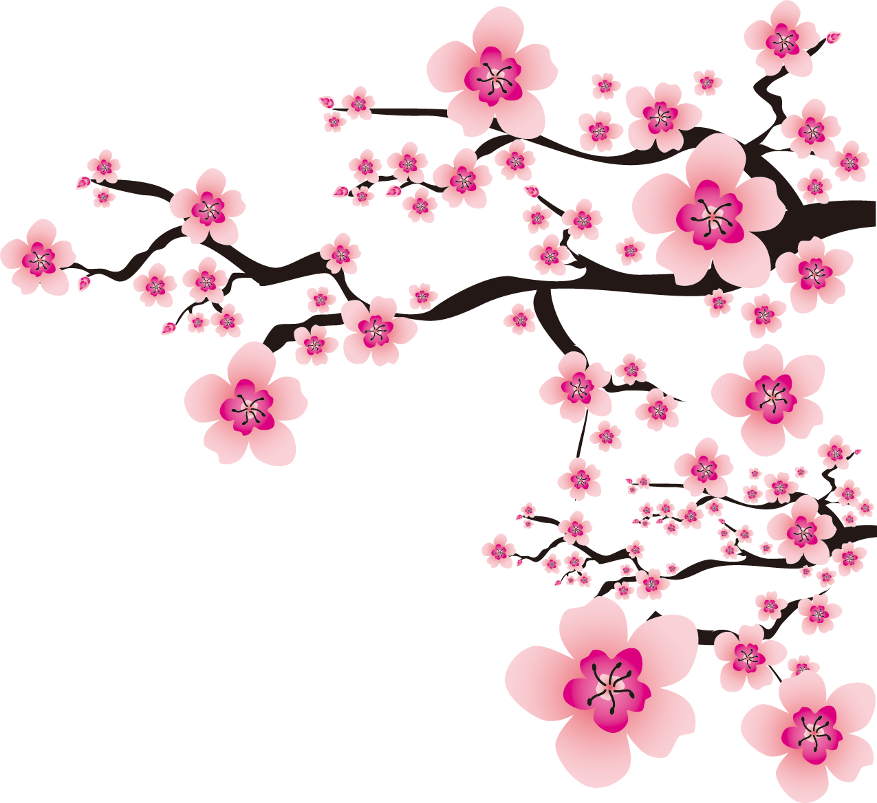 Sakura Png Images (pink, white)