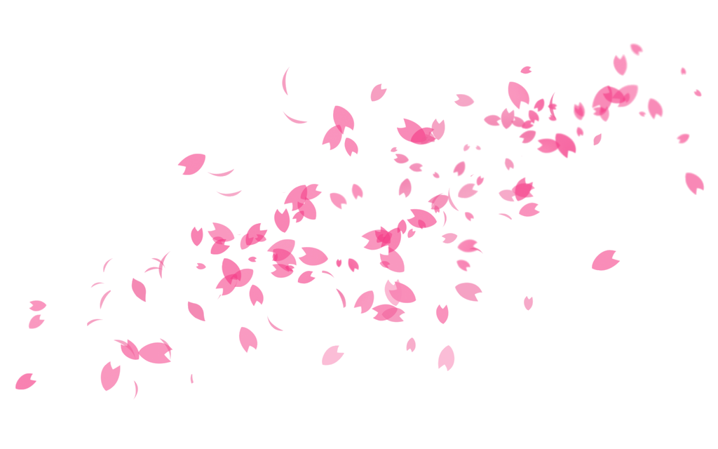 Sakura Png Picture (white)