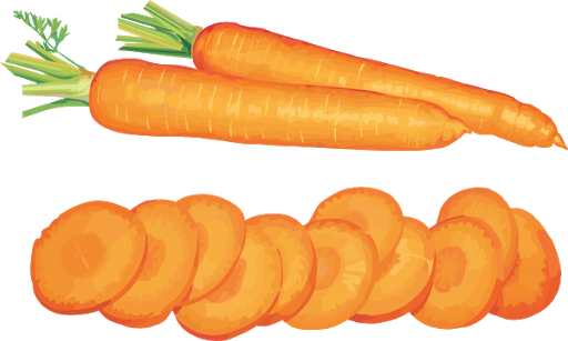 Salad Carrot Slices Transparent Background (black, salmon, orange)