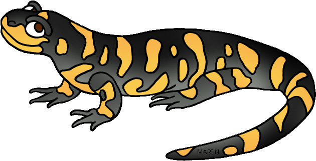 Salamanders Png Free Download (black)