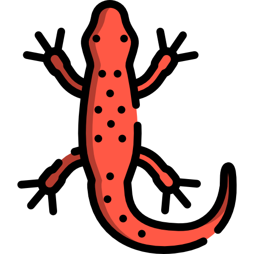 Salamanders Png Isolated Hd (black, salmon, chocolate, white)