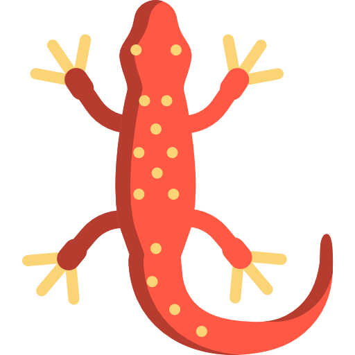 Salamanders Png Picture (salmon, chocolate, white)