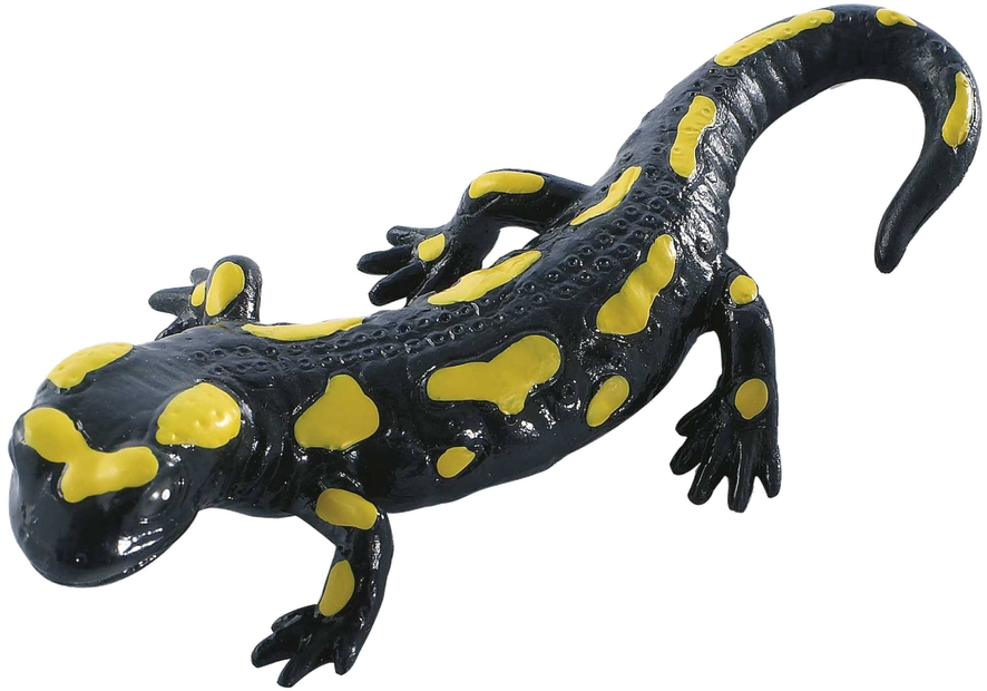 Salamanders Png (black)