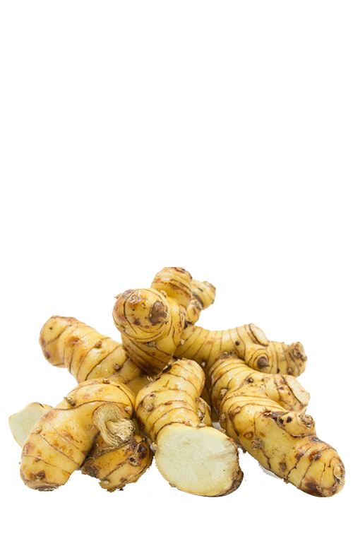 Galangal Png File (white)