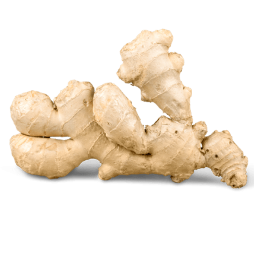 Galangal Png Free Download (beige, white, gray, lavender, black)