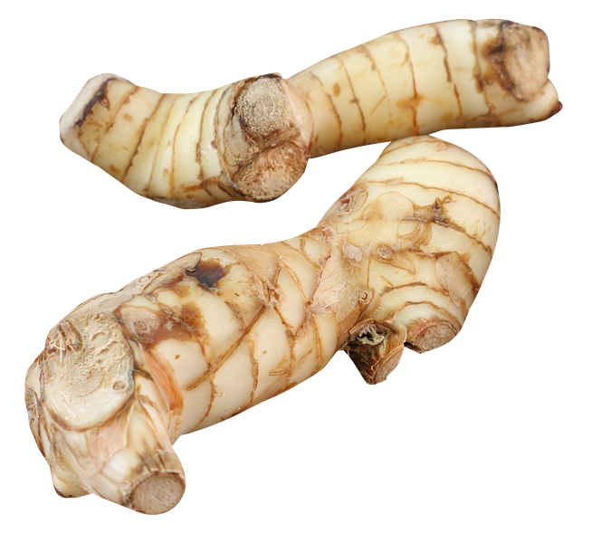 Galangal Png Hd (beige, salmon, black, silver, pink)