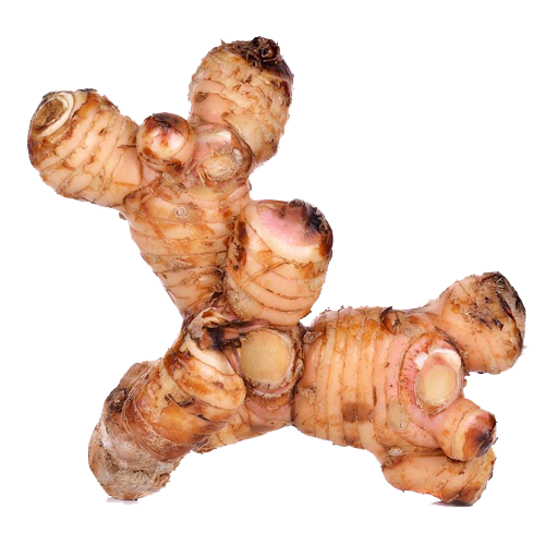 Galangal Png Image (olive, green, white, lavender, silver)