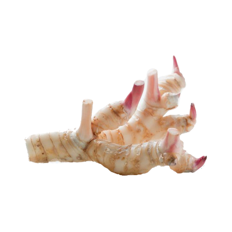 Galangal Png Pic (black, gray, salmon)