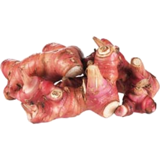 Galangal Transparent Background (indigo, black, white)