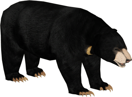 Malayan Sun Bears Png Pic (black)