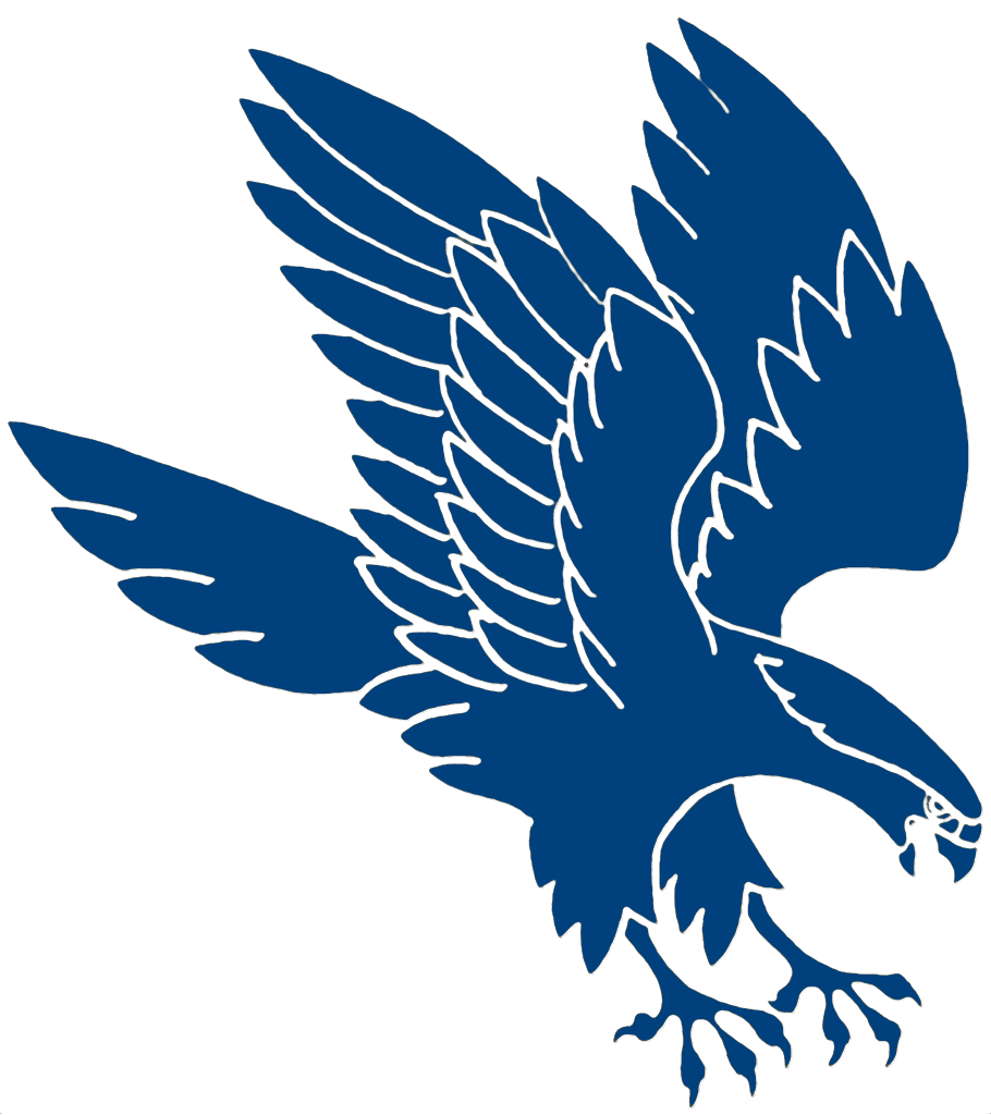 Falcon Png File (teal, black, navy)