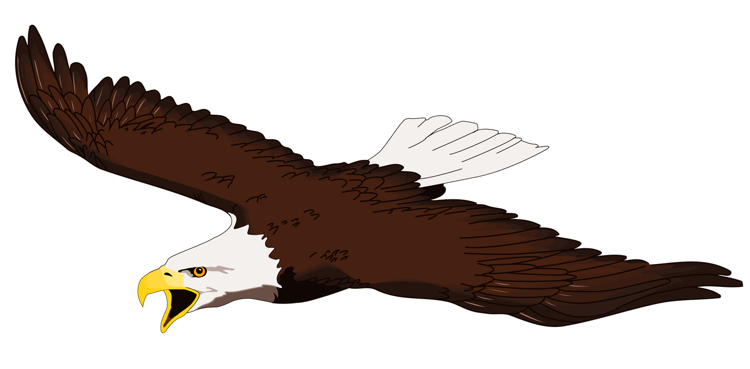 Bald Eagle Download Png Image (beige, maroon, black)